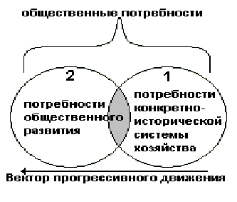 Как соотносятся понятия образ тела и схема тела